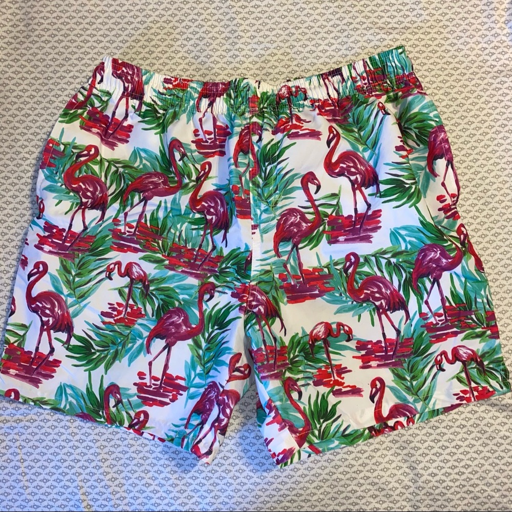 Medium Men’s Flamingo Tropical Swim Trunks